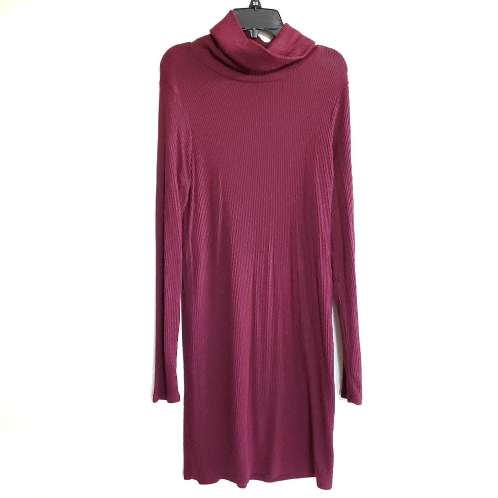 Maroon Turtle Neck Sweater Dress